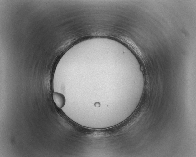 X0000116670441201001041132