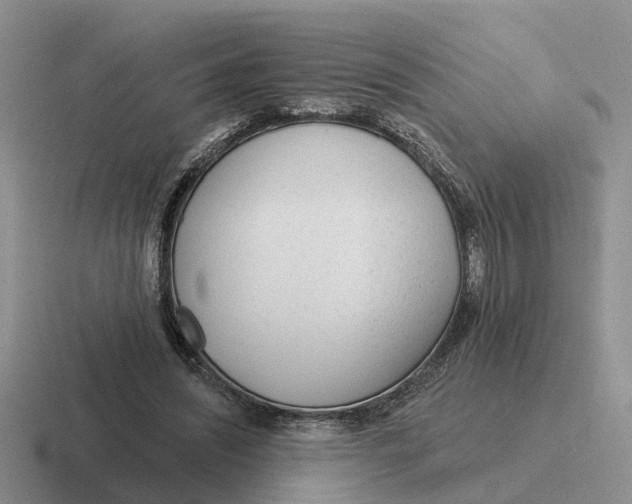 X0000116670444201001041132