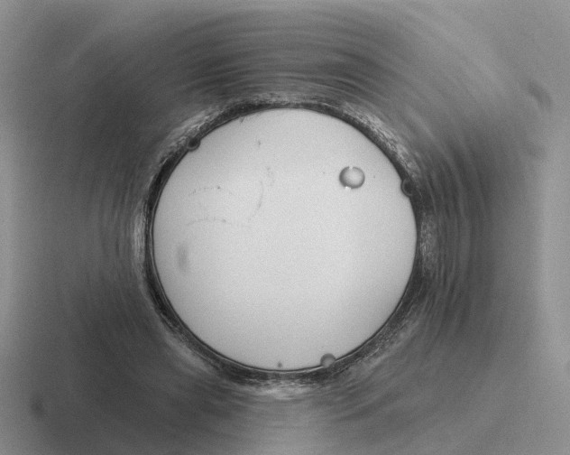 X0000116670445201001041132