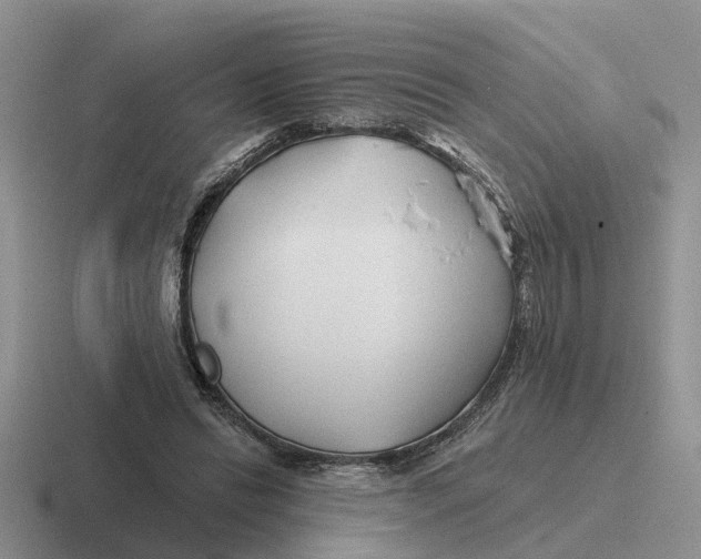 X0000116670446201001041132