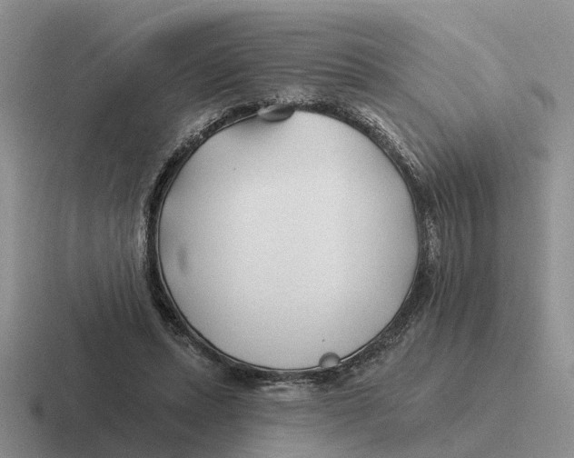 X0000116670447201001041132