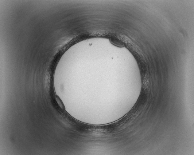 X0000116670448201001041132