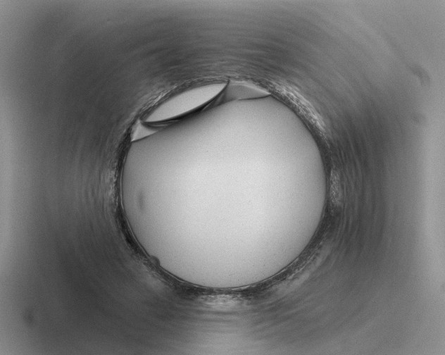 X0000116670449201001041132