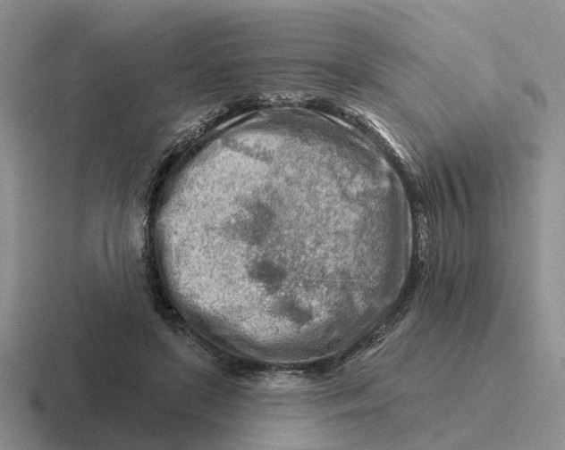 X0000116670451201001041132