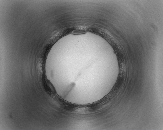 X0000116670452201001041132