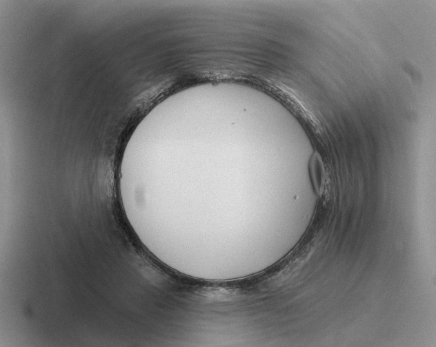 X0000116670453201001041132