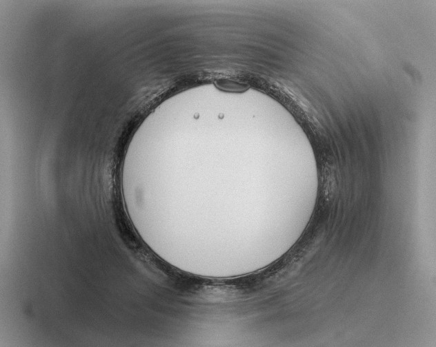 X0000116670455201001041132