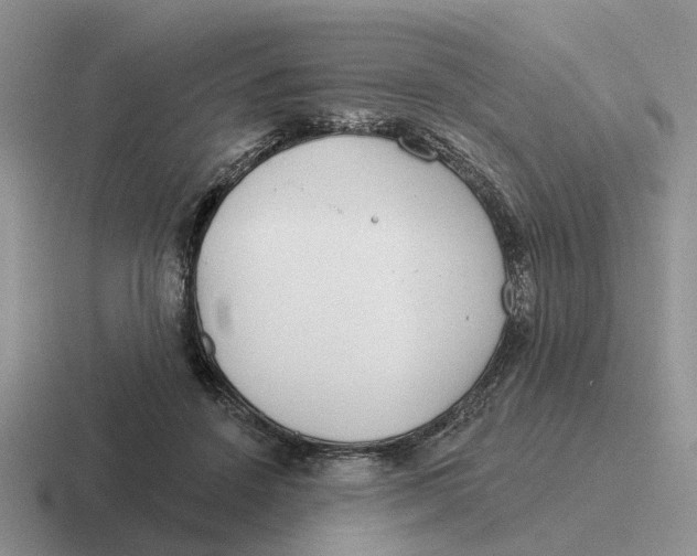 X0000116670456201001041132