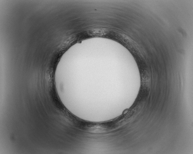 X0000116670460201001041133