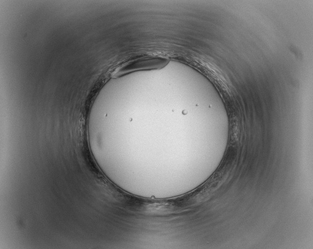 X0000116670461201001041133