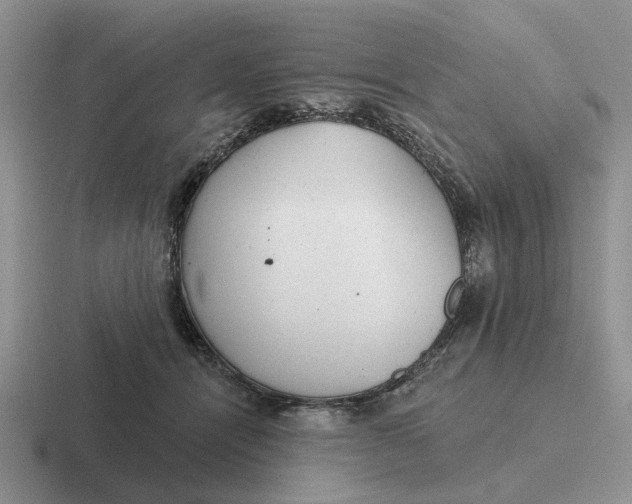 X0000116670464201001041133