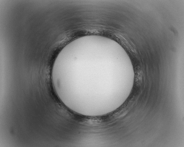 X0000116670466201001041133