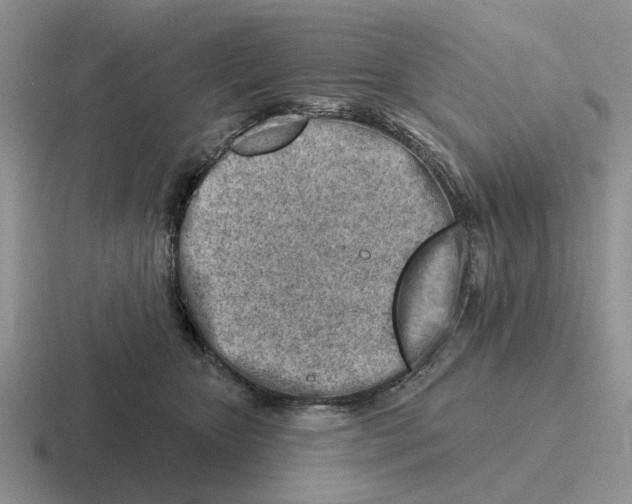 X0000116670467201001041133