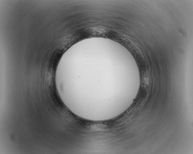 X0000116670468201001041133