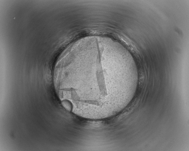 X0000116670469201001041133