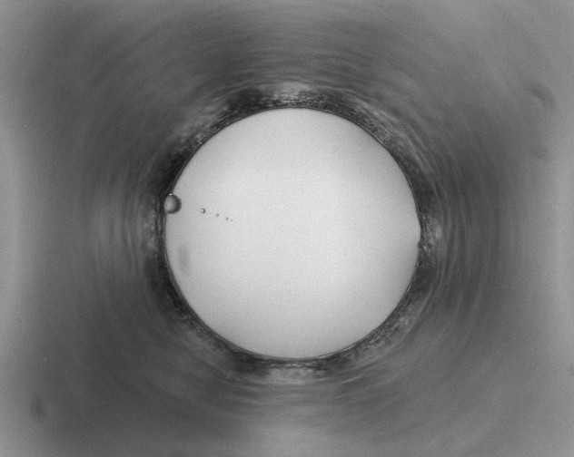 X0000116670470201001041133