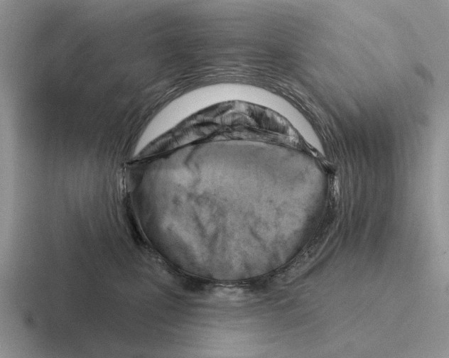 X0000116670471201001041133