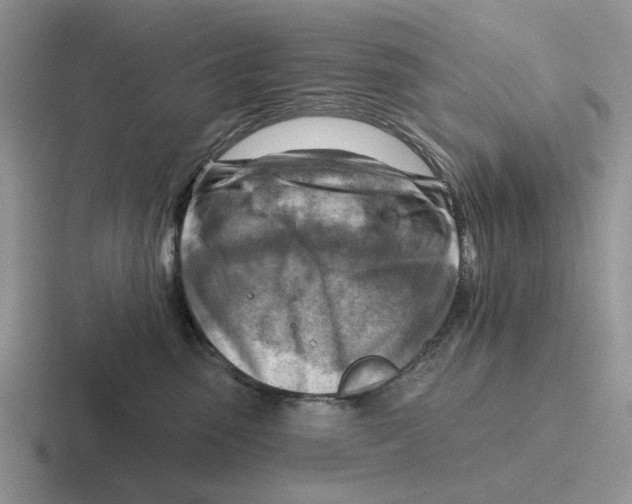 X0000116670475201001041133