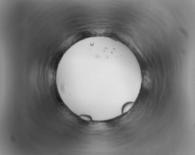 X0000116670476201001041133