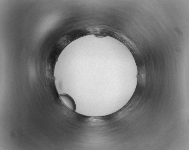 X0000116670477201001041133