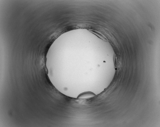 X0000116670478201001041133