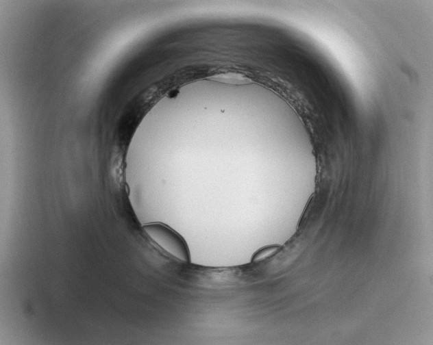 X0000116670479201001041133