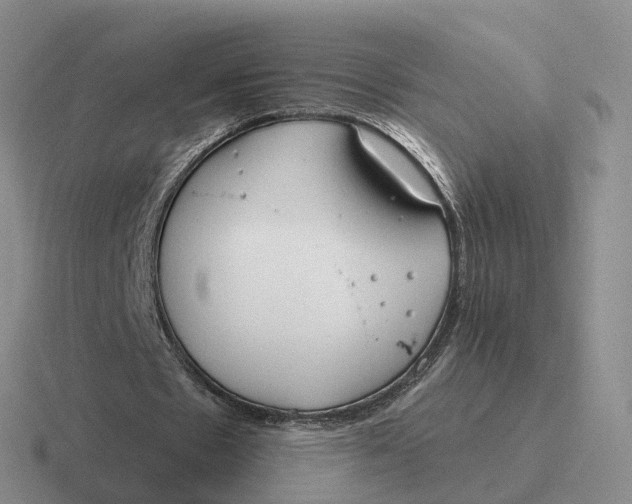 X0000116670481201001041132