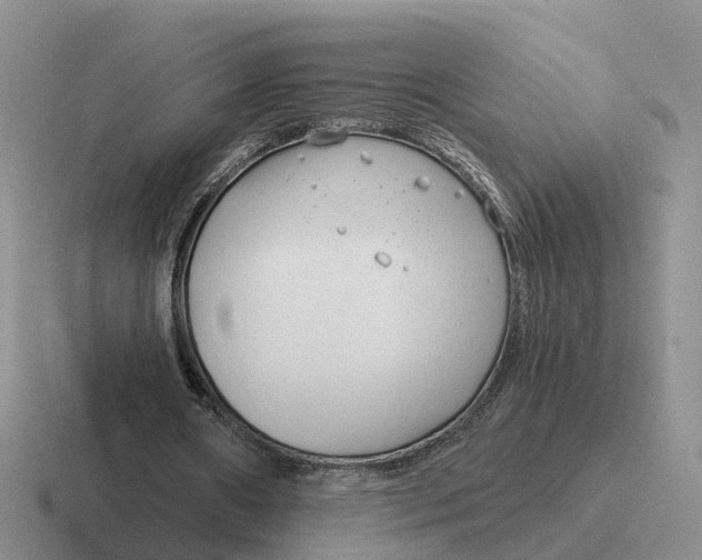 X0000116670482201001041132