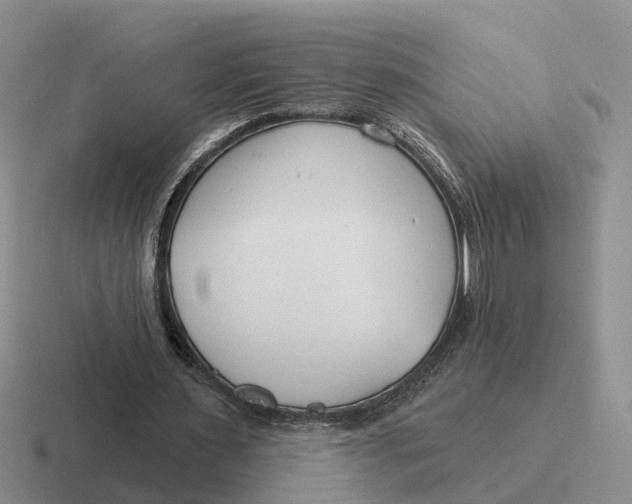 X0000116670483201001041132