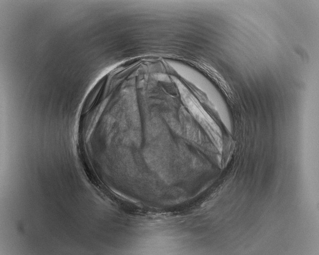 X0000116670484201001041132