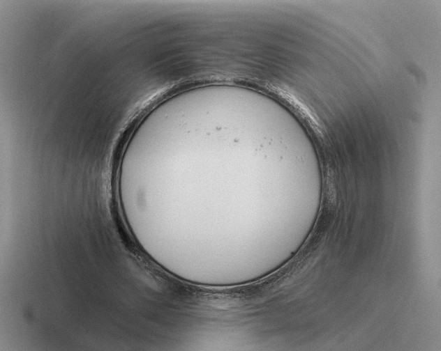 X0000116670486201001041132