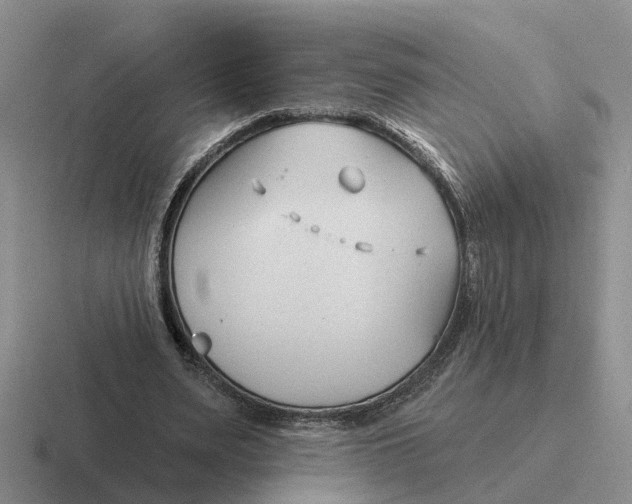 X0000116670487201001041132