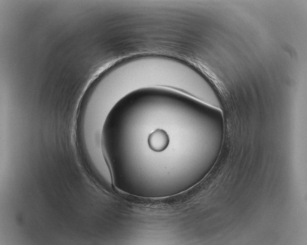 X0000116670488201001041132