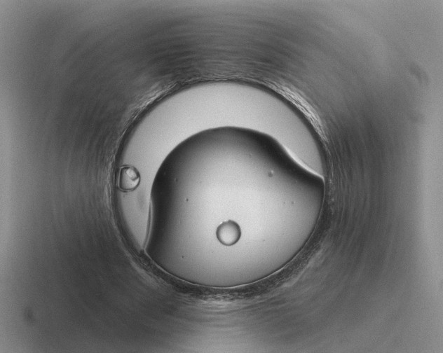 X0000116670489201001041132