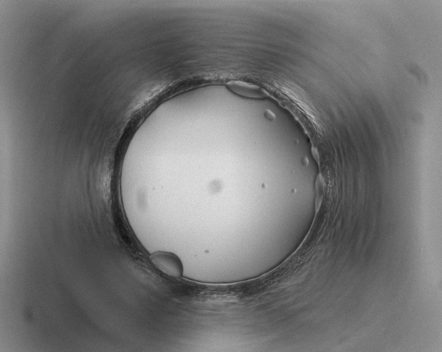 X0000116670491201001041132