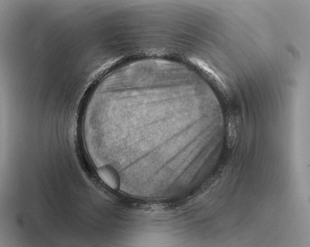 X0000116670492201001041132