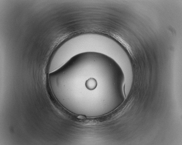 X0000116670493201001041132