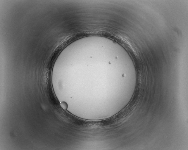 X0000116670495201001041132