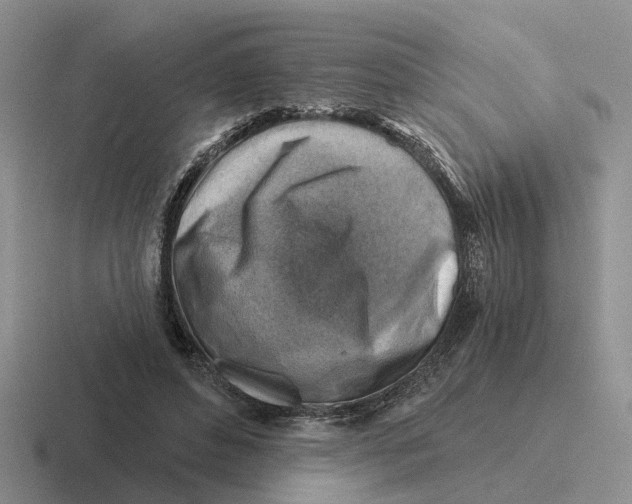 X0000116670496201001041132