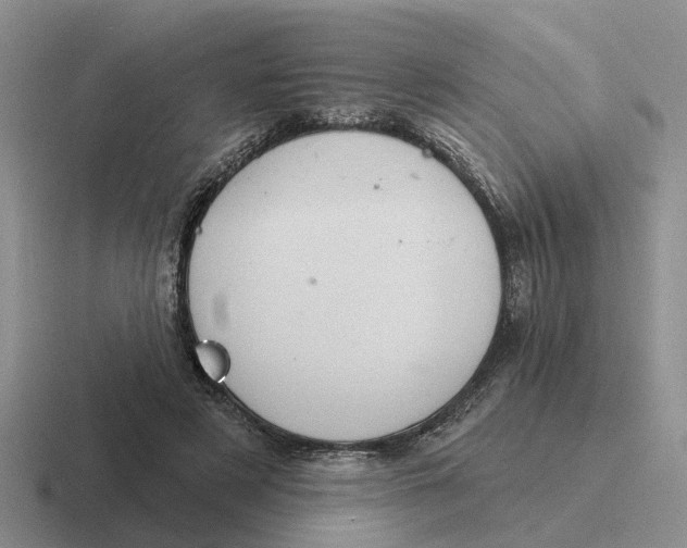 X0000116670497201001041132