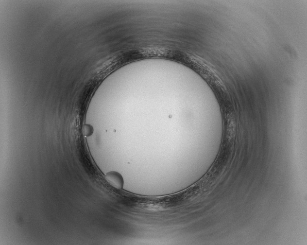 X0000116670498201001041132