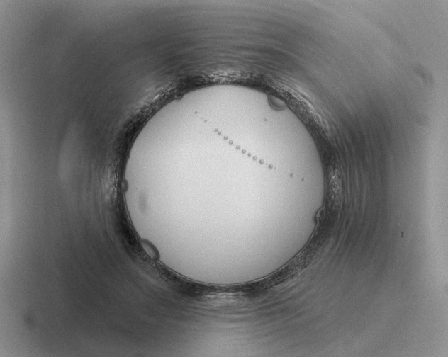 X0000116670499201001041132