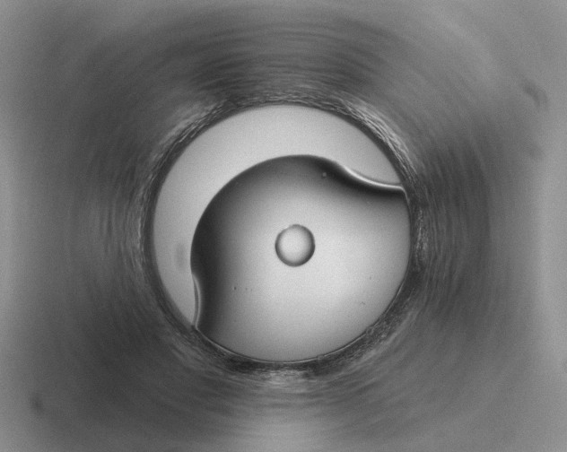 X0000116670501201001041132