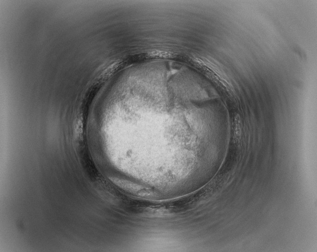 X0000116670502201001041132