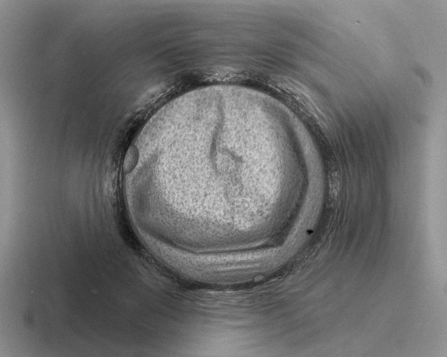 X0000116670503201001041132