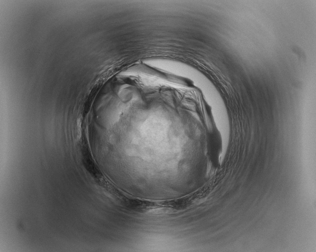 X0000116670504201001041132