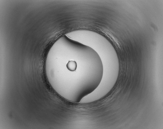 X0000116670505201001041132