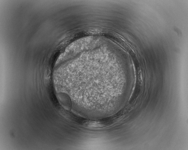 X0000116670507201001041132