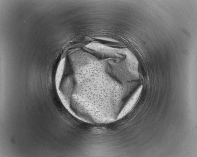 X0000116670508201001041132