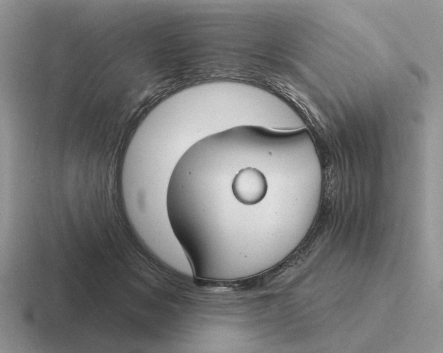 X0000116670509201001041132